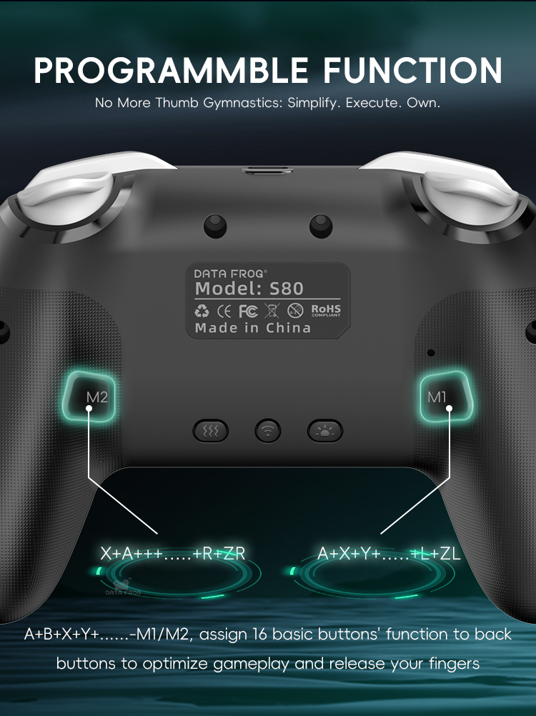 DATA FROG 2 Pack Wireless Pro  - Gaming Console For Android Tv recension och pris